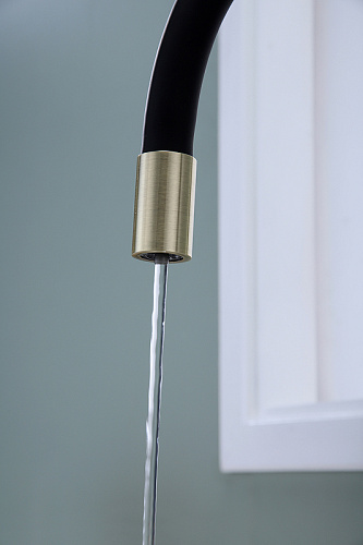 Смеситель для кухни Paulmark Salix бронза Sa213419-BR Смеситель для кухни Paulmark Salix бронза Sa213419-BR