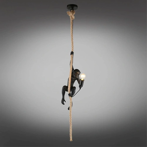 Светильник подвесной Aployt Magali APL.309.16.01 Светильник подвесной Aployt Magali APL.309.16.01