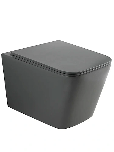 Унитаз подвесной Wonzon & Woghand RONA безободковый, серый матовый (WW-UP2216-MG) Унитаз подвесной Wonzon & Woghand RONA безободковый, серый матовый (WW-UP2216-MG)