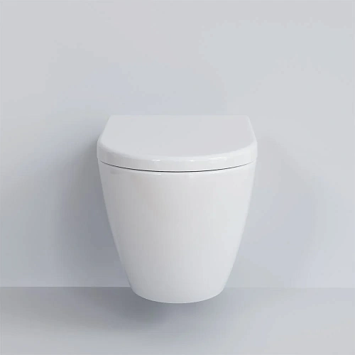 Крышка-сиденье Ambassador Queen 112T20001 (толстое) белое Крышка-сиденье Ambassador Queen 112T20001 (толстое) белое