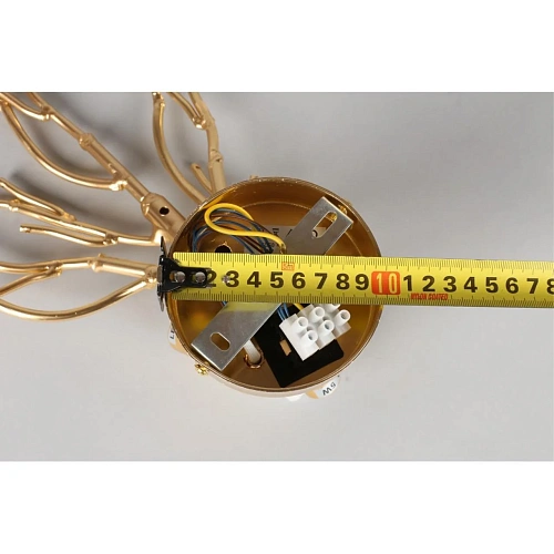 Светильник настенный (Бра) Aployt Gertunia APL.847.01.03 Светильник настенный (Бра) Aployt Gertunia APL.847.01.03