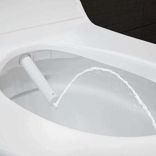 Унитаз SMART GEBERIT AquaClean Tuma Comfort 146.294.FW.1 (панель нерж. сталь) Унитаз SMART GEBERIT AquaClean Tuma Comfort 146.294.FW.1 (панель нерж. сталь)