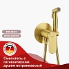 Гигиенический душ Raglo R10.52.03 встраиваемый, сатин золотой Гигиенический душ Raglo R10.52.03 встраиваемый, сатин золотой