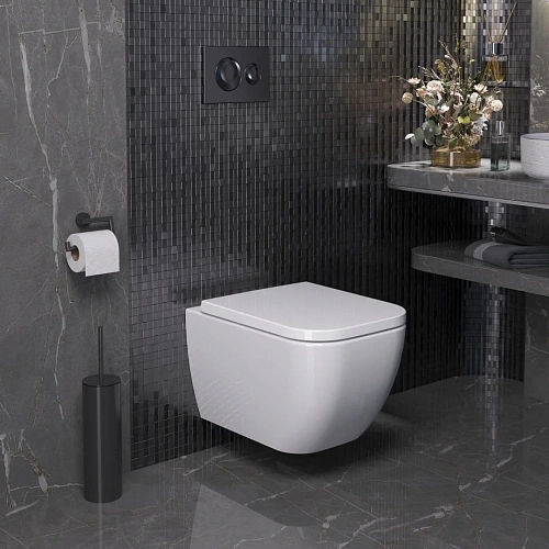 Унитаз подвесной Ambassador Forsa 243K19002RS (510x360x350) безободковый с сиденьем Унитаз подвесной Ambassador Forsa 243K19002RS (510x360x350) безободковый с сиденьем