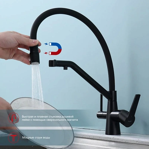 Смеситель для кухни Raglo R80.62.06 с гибким изливом с подключением к фильтру, черный Смеситель для кухни Raglo R80.62.06 с гибким изливом с подключением к фильтру, черный