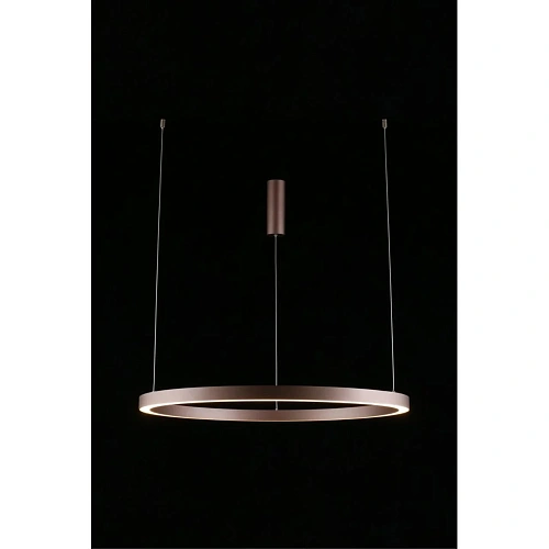 Люстра подвесная Aployt Nisia APL.025.03.60 Люстра подвесная Aployt Nisia APL.025.03.60