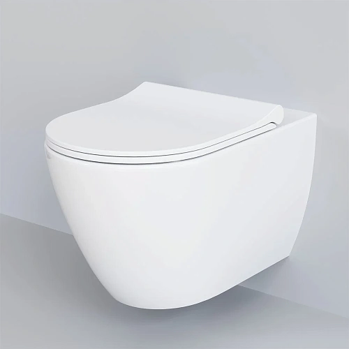 Крышка-сиденье Ambassador Queen 112T20001S (тонкое) белое Крышка-сиденье Ambassador Queen 112T20001S (тонкое) белое