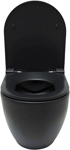 Унитаз подвесной Allen Brau Reality 4.32006.31 с крышкой, черный матовый Унитаз подвесной Allen Brau Reality 4.32006.31 с крышкой, черный матовый