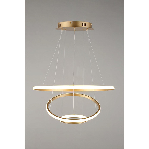 Люстра подвесная Aployt Janina APL.018.13.60 Люстра подвесная Aployt Janina APL.018.13.60