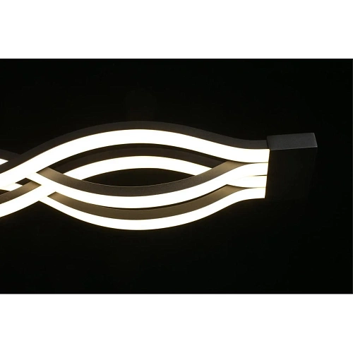 Светильник настенно-потолочный Aployt Nadayn APL.002.17.72 Светильник настенно-потолочный Aployt Nadayn APL.002.17.72