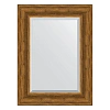 Зеркало в багетной раме Evoform Exclusive BY 3394 59 x 79 см, травленая бронза