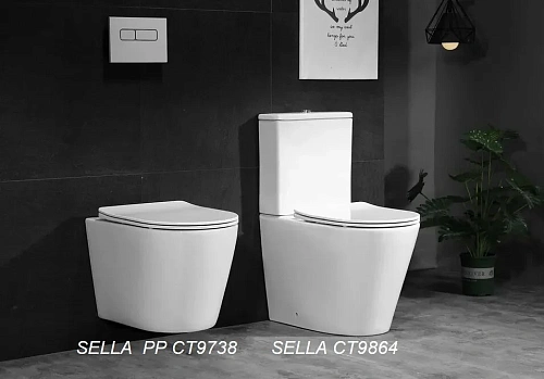 Унитаз напольный Ceruttispa SELLA GW CT9864 безободковый белый, сиденье микролифт Унитаз напольный Ceruttispa SELLA GW CT9864 безободковый белый, сиденье микролифт