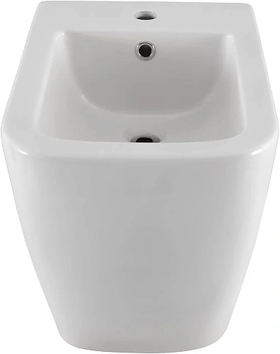 Биде напольное Allen Brau Infinity 4.21005.20 Биде напольное Allen Brau Infinity 4.21005.20