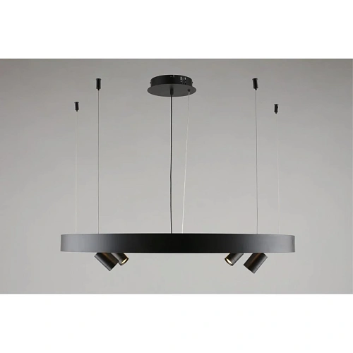 Люстра подвесная Aployt Jolanta APL.041.13.50 Люстра подвесная Aployt Jolanta APL.041.13.50