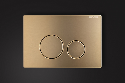 Клавиша смыва CHARUS ROBUSTO FP.330.BTG.05 брашированное золото (светлое) Клавиша смыва CHARUS ROBUSTO FP.330.BTG.05 брашированное золото (светлое)