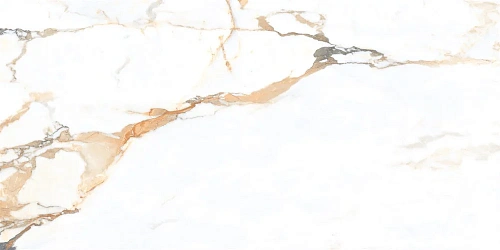 Керамогранит NT Ceramic Marmo NTT99605M 60x120 Керамогранит NT Ceramic Marmo NTT99605M 60x120