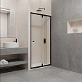 Душевая дверь RGW Passage PA-02B 04080207-14 Душевая дверь RGW Passage PA-02B 04080207-14