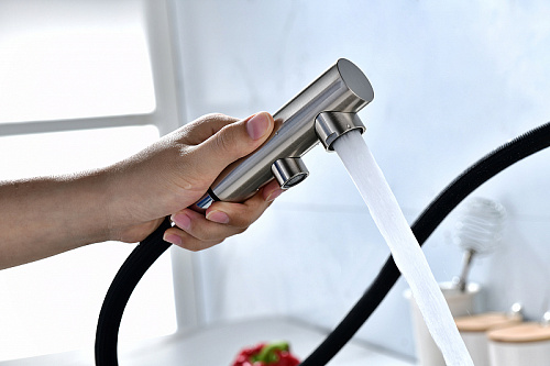 Смеситель для кухни Paulmark SERPENTINE брашированная сталь Se213222-BS Смеситель для кухни Paulmark SERPENTINE брашированная сталь Se213222-BS