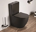 Унитаз напольный CeramaLux 2166 MB черный матовый с крышкой микролифт Унитаз напольный CeramaLux 2166 MB черный матовый с крышкой микролифт