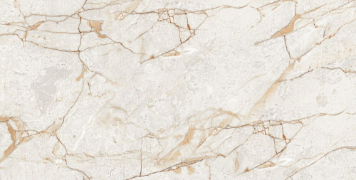 Керамогранит Neodom Ambassador Rosalia Glossy 60x120 CV20196 Керамогранит Neodom Ambassador Rosalia Glossy 60x120 CV20196