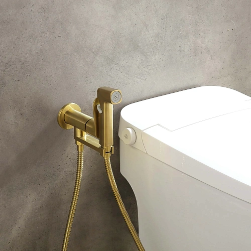 Гигиенический душ Aquatek АЛЬФА AQ1919BG шлифованное золото Гигиенический душ Aquatek АЛЬФА AQ1919BG шлифованное золото