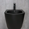 Биде подвесное Gid BDP-96BM 21103 черный матовый 48x37x32.5 Биде подвесное Gid BDP-96BM 21103 черный матовый 48x37x32.5