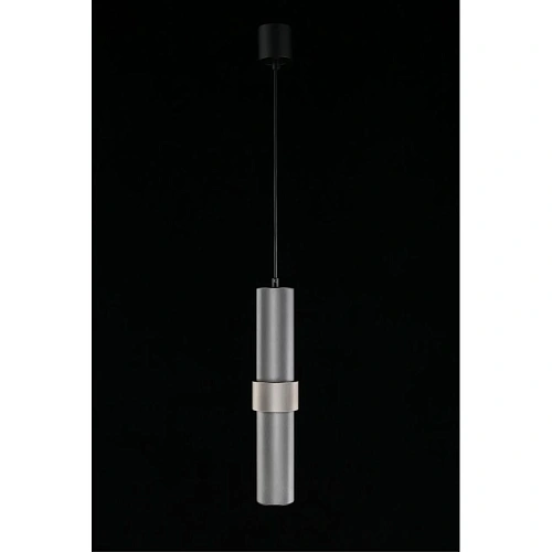 Светильник подвесной Aployt Beasia APL.614.06.01 Светильник подвесной Aployt Beasia APL.614.06.01