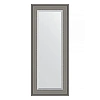 Зеркало в багетной раме Evoform Exclusive BY 1255 56 x 136 см, хамелеон Зеркало в багетной раме Evoform Exclusive BY 1255 56 x 136 см, хамелеон