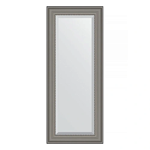 Зеркало в багетной раме Evoform Exclusive BY 1255 56 x 136 см, хамелеон Зеркало в багетной раме Evoform Exclusive BY 1255 56 x 136 см, хамелеон