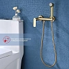Гигиенический душ Raglo R03.51.03, золотой сатин Гигиенический душ Raglo R03.51.03, золотой сатин