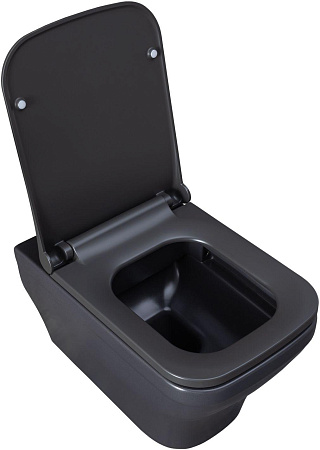 Унитаз подвесной Allen Brau Infinity 4.21011.AN с крышкой, антрацит