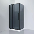 Душевой уголок Black&White S818 BG (1000х800х1950) 8181000G Душевой уголок Black&White S818 BG (1000х800х1950) 8181000G