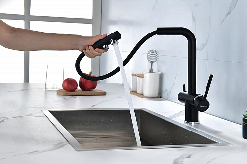 Смеситель для кухни Paulmark SERPENTINE антрацит Se213222-AN Смеситель для кухни Paulmark SERPENTINE антрацит Se213222-AN