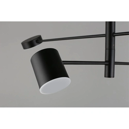 Люстра потолочная Aployt Frania APL.017.07.48 Люстра потолочная Aployt Frania APL.017.07.48