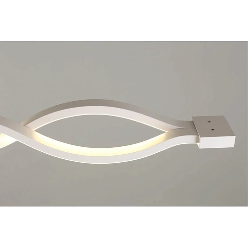 Светильник настенно-потолочный Aployt Nadayn APL.002.02.36 Светильник настенно-потолочный Aployt Nadayn APL.002.02.36