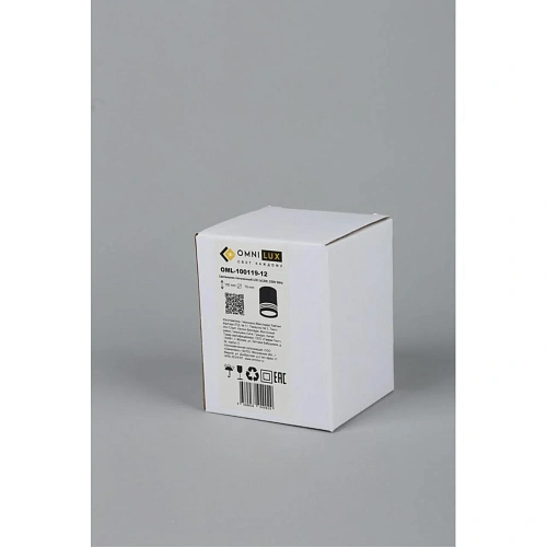 Светильник встраиваемый-накладной Omnilux Fortezza OML-100119-12 Светильник встраиваемый-накладной Omnilux Fortezza OML-100119-12