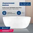 Акриловая ванна Aquanet Family Sweet 170x78 155778-MW Акриловая ванна Aquanet Family Sweet 170x78 155778-MW