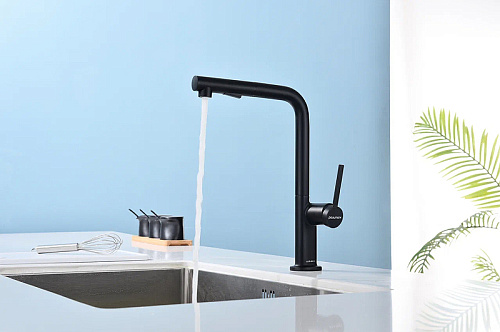 Смеситель для кухни Paulmark NEO антрацит Ne214419-AN Смеситель для кухни Paulmark NEO антрацит Ne214419-AN