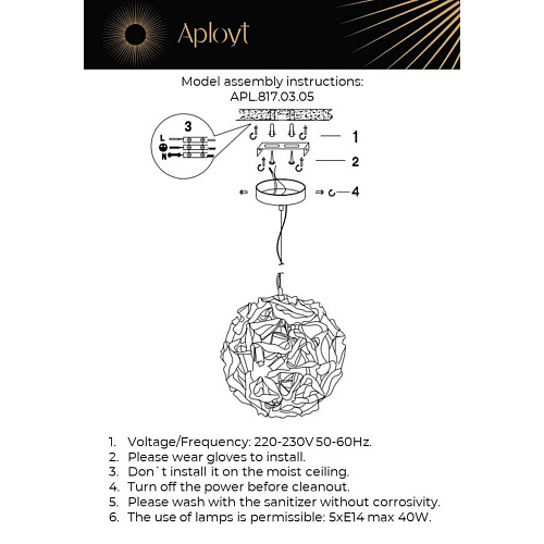Люстра подвесная Aployt Danka APL.817.03.05 Люстра подвесная Aployt Danka APL.817.03.05