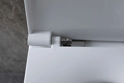 Комплект унитаза Allen Brau Reality 4.32006.20/8.9466.0.000.000.1 (00316510) с инсталляцией, белый глянец Комплект унитаза Allen Brau Reality 4.32006.20/8.9466.0.000.000.1 (00316510) с инсталляцией, белый глянец