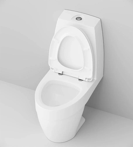 Унитаз напольный AM.PM Bliss L C538607SC компакт с сиденьем микролифт Унитаз напольный AM.PM Bliss L C538607SC компакт с сиденьем микролифт