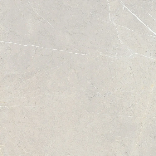 Керамогранит NT Ceramic Bright and Shiny NTT9101 BB6NTT9101P 60x60 Керамогранит NT Ceramic Bright and Shiny NTT9101 BB6NTT9101P 60x60