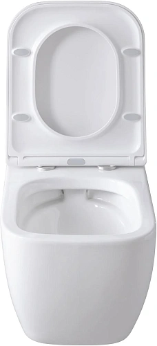 Комплект унитаза Allen Brau Infinity 4.21004.20/8.9466.0.000.000.1 (00316505) с инсталляцией, белый глянец Комплект унитаза Allen Brau Infinity 4.21004.20/8.9466.0.000.000.1 (00316505) с инсталляцией, белый глянец