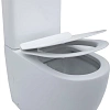 Чаша напольного унитаза Aquanet Rimless Cetus-C1 BL-102N-TPT CETUS-C1 с сиденьем Чаша напольного унитаза Aquanet Rimless Cetus-C1 BL-102N-TPT CETUS-C1 с сиденьем