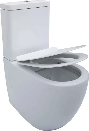 Чаша напольного унитаза Aquanet Rimless Cetus-C1 BL-102N-TPT CETUS-C1 с сиденьем Чаша напольного унитаза Aquanet Rimless Cetus-C1 BL-102N-TPT CETUS-C1 с сиденьем