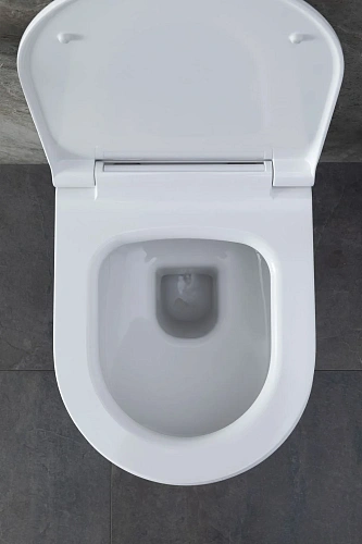 Комплект унитаза Allen Brau Priority 00301296/8.9466.0.000.000.1 (00316508) с инсталляцией, белый глянец Комплект унитаза Allen Brau Priority 00301296/8.9466.0.000.000.1 (00316508) с инсталляцией, белый глянец