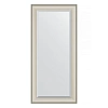 Зеркало в багетной раме Evoform Exclusive BY 1306 78 x 168 см, травленое серебро Зеркало в багетной раме Evoform Exclusive BY 1306 78 x 168 см, травленое серебро