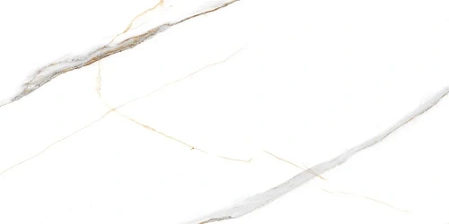 Керамогранит NT Ceramic Marmo NTT99513M 60x120 Керамогранит NT Ceramic Marmo NTT99513M 60x120