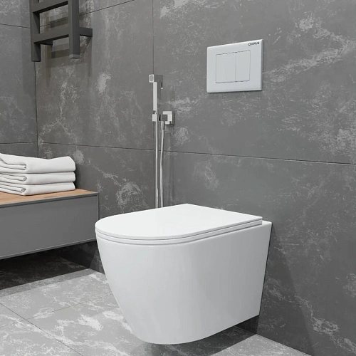 Унитаз подвесной CHARUS ESTELLA RIMLESS EWC700-121W безободковый, c легкосъемным сиденьем, с функцией микролифт Унитаз подвесной CHARUS ESTELLA RIMLESS EWC700-121W безободковый, c легкосъемным сиденьем, с функцией микролифт