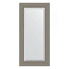 Зеркало в багетной раме Evoform Exclusive BY 1247 56 x 116 см, римское серебро